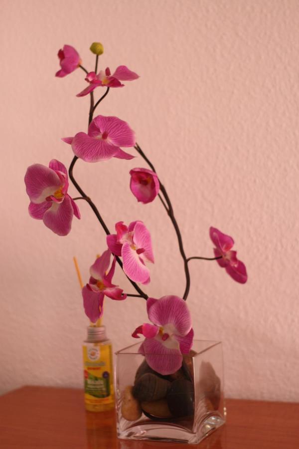 Apartamento Calle De La Cordera, 3 Torremolinos Luaran gambar
